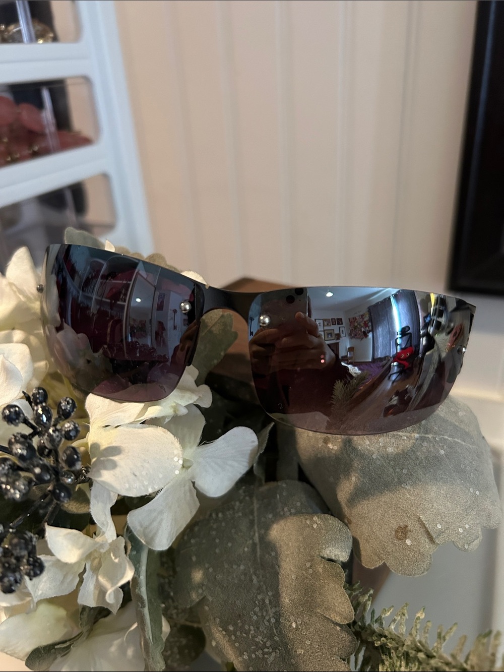 Sleek Shield Sunglasses in Dark Smoke